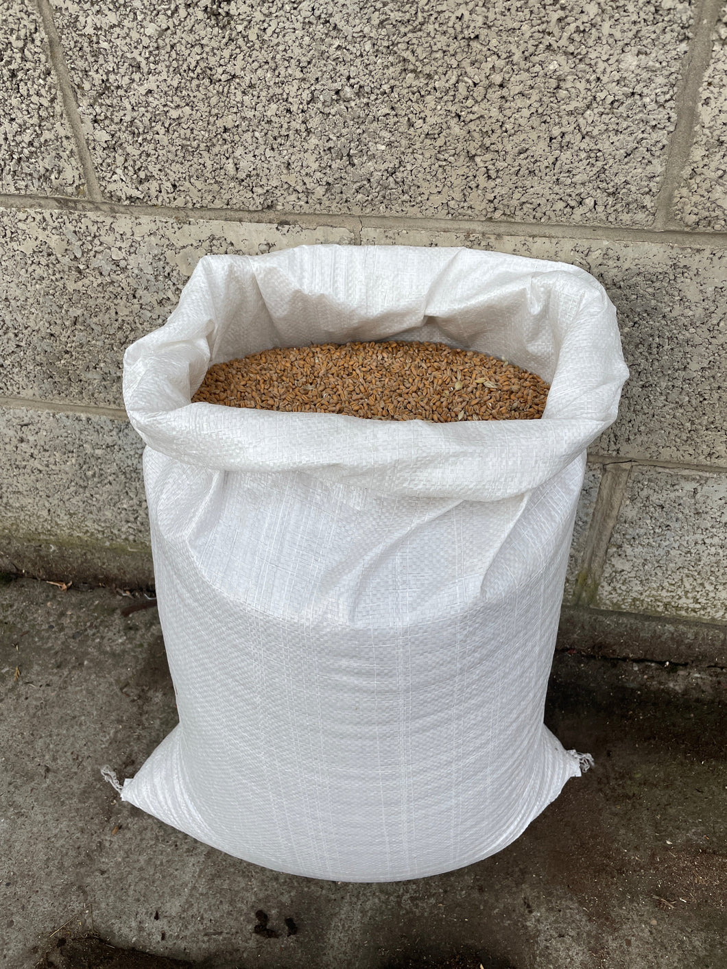 25kg Bag of Wheat