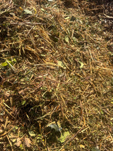 Load image into Gallery viewer, Bulk Bag of B Grade Woodchip - 500 Litre
