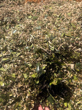 Load image into Gallery viewer, Bulk Bag of B Grade Woodchip - 500 Litre
